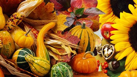 Fall Wallpaper Backgrounds With Pumpkins 55 Images