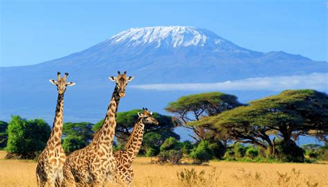 Kenia World Travel Guide