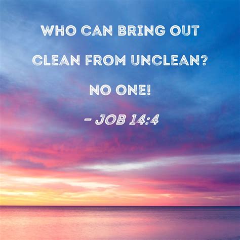 Job 14:4 Who can bring out clean from unclean? No one!