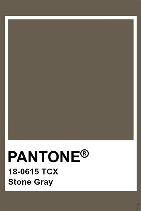 Pantone Stone Gray Pantone Color Pantone Colour Palettes Brown Pantone