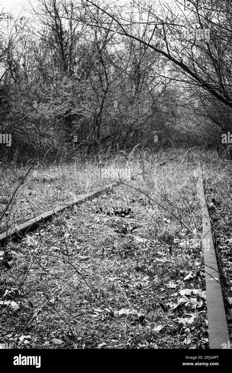 Rail Classification Yard Black And White Stock Photos And Images Alamy