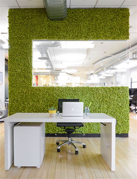 Moss Walls The Interior Design Trend That Turns Your Home Into A