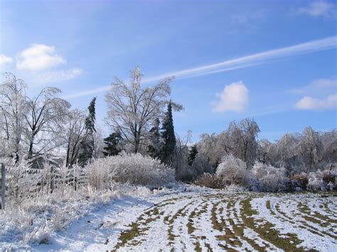 Free Images Landscape Tree Nature Forest Wilderness Snow Cold