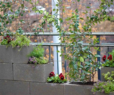 Privacy Wall and Cement Block Vertical Garden | Vertical herb garden, Vertical garden, Vertical ...