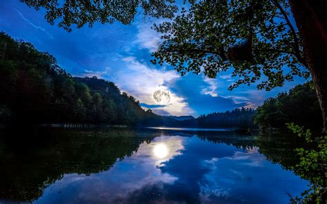 Wallpaper Full Moon Reflections Lake Forest 4k Nature