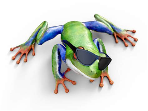 Frog Sunglasses Cool Animal Stock Photos Pictures And Royalty Free