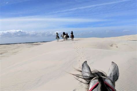 Horseback Trail Ride In Brazil Laguna De La Restinga National Park