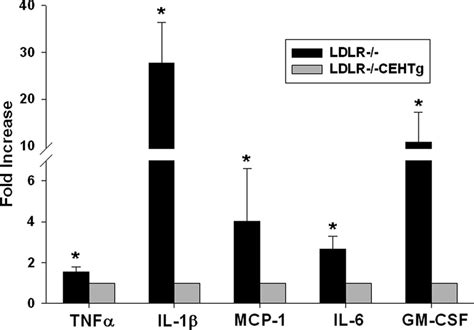 Decreased Levels Of Circulating Cytokines In Ldlr Cehtg Mice Ldlr