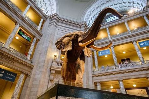 10 Museums In Washington Dc A Guide For History Lovers