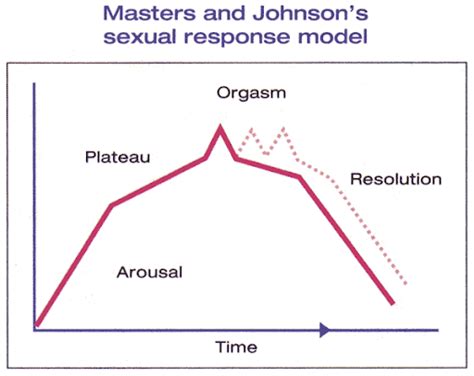 Sexology Today The Sexual Response Cycle Sex And Self