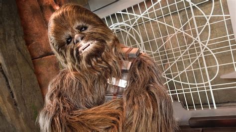Meet Chewbacca At The Launch Bay Walt Disney World Resort