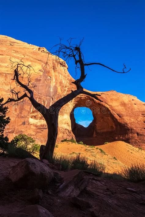 Ear Of The Wind Arch With A Dead Juniper Tree In The Foreground