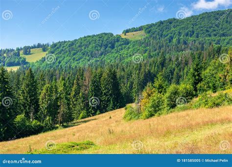 Grassy Meadows Of Mountainous Scenery In Summer Stock Image Image Of