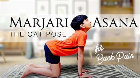 Marjariasana Cat Pose Yoga For Back Pain And Spine Flexibility Youtube