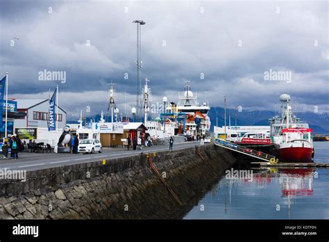 Old Harbour Reykjavik Iceland Stock Photo Alamy