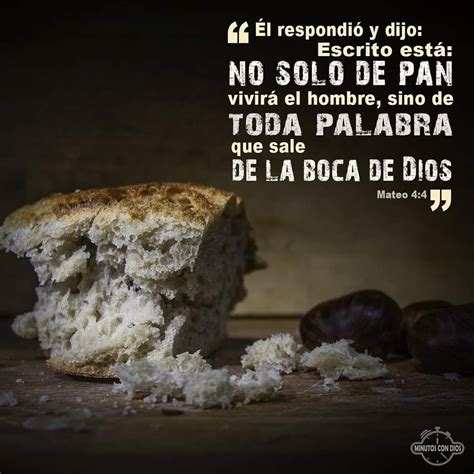 La importancia de alimentar el espíritu Por qué no solo de pan vivirá