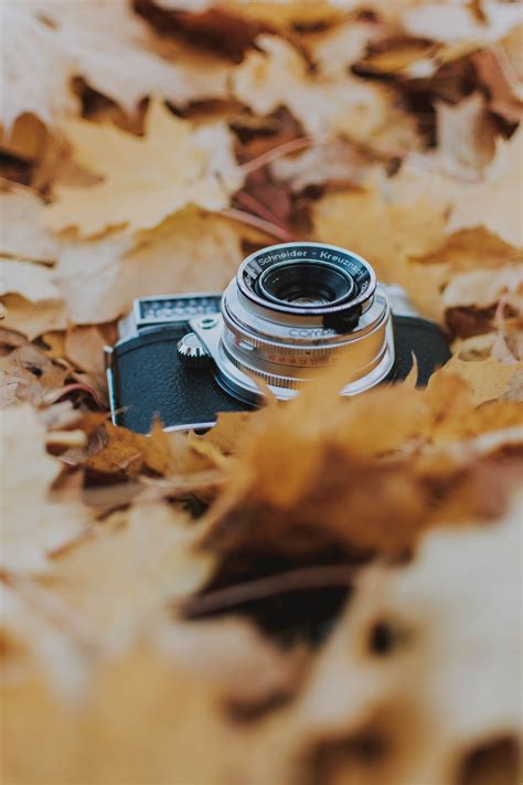 Download Wallpaper 4000x6000 Camera Leaves Foliage Dry Autumn Hd