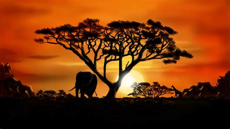 Sunset African Landscape Sun Tree Giraffe Elephant Silhouettes Hd
