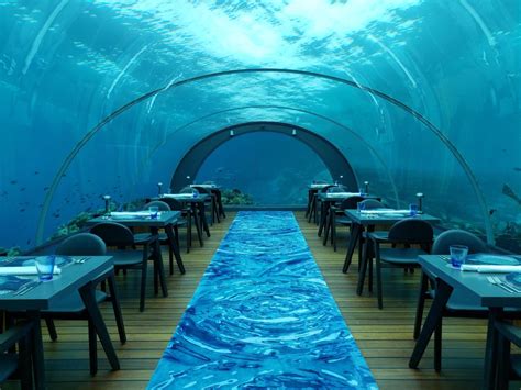 I Dined Inside The Worlds Largest All Glass Underwater Restaurant