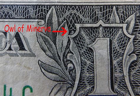 Owl Dollar Bill