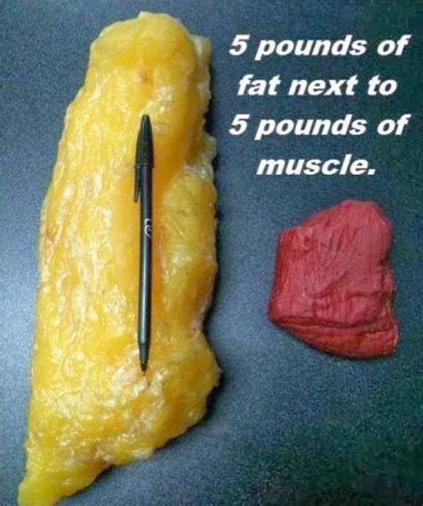 Time To Get Fit 5 Pounds Of Fat Next To Five Pounds Of Muscle