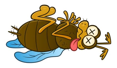 Best Dead Bug Illustrations Royalty Free Vector Graphics