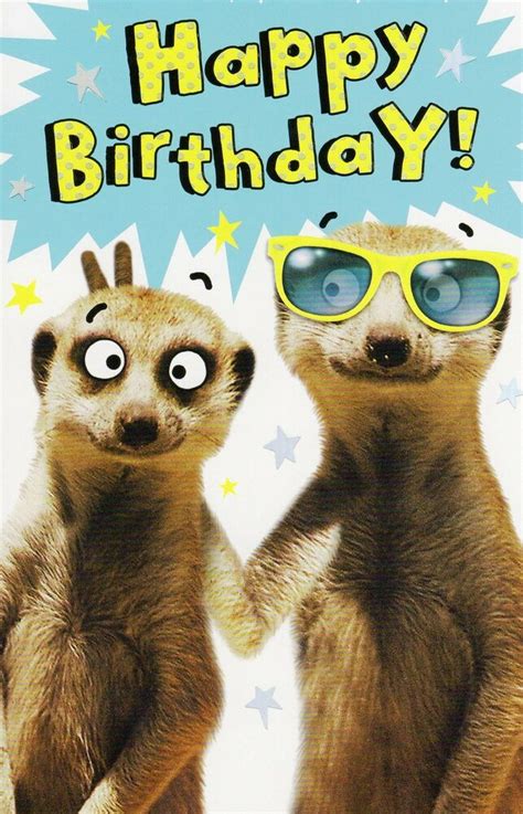 Wishing you a playful funny happy birthday. Funny Meerkat Happy Birthday Card Humour Greeting Cards ...