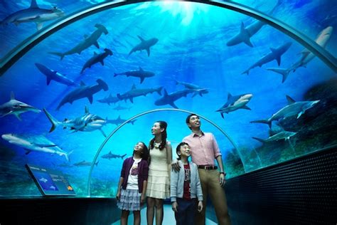 Based in the city of kuala lumpur, aquaria klcc is considered to be amongst the top most attractions for tourists. Aquaria KLCC - Islamic Tourism Centre of Malaysia | ITC