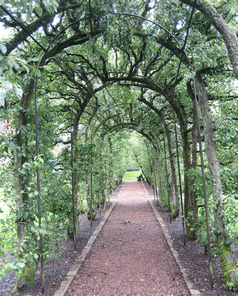 Arbor | garden shelter | Britannica