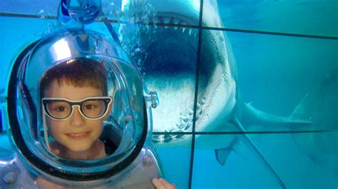 clear lounge underwater oxygen bar is a real gas