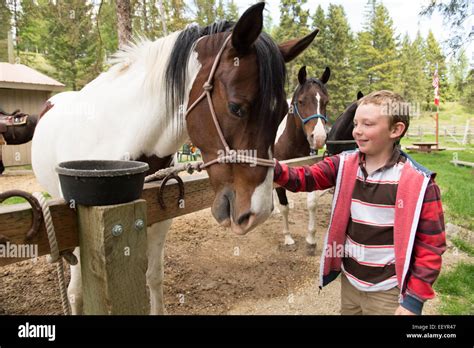 Horses And Guests At The Artemis Acres Guest Ranch In Kalispell