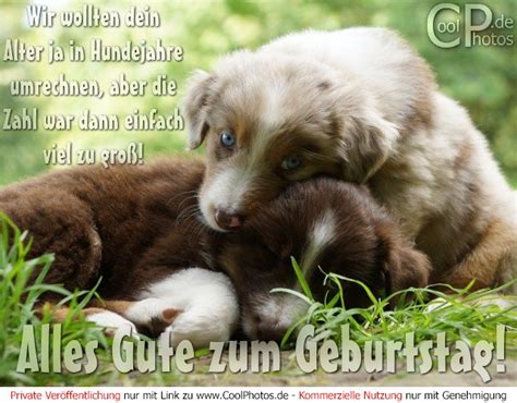 Das sind sie, wenn sie beispielsweise mit ein paar persönlichen zeilen, die die lieben gratulanten und. Alles Gute Zum Geburtstag Bilder Lustig, Mitteldeutsche ...