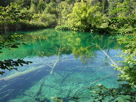 Fotos Gratis Naturaleza Bosque Lago Río Selva Parque Nacional