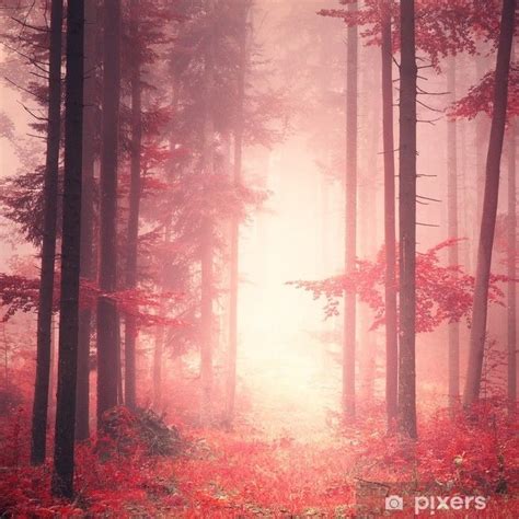 Red Mystic Color Forest Wall Mural • Pixers® We Live To Change