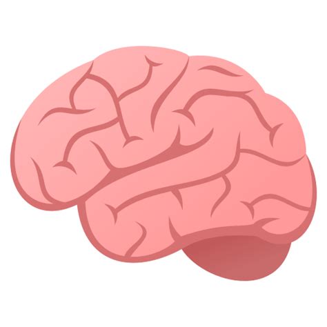 🧠 Cerebro Emoji Cerebro Images And Photos Finder