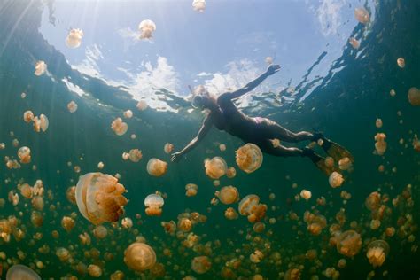 Underwater Wonders That Will Blow Your Mind Insidehook