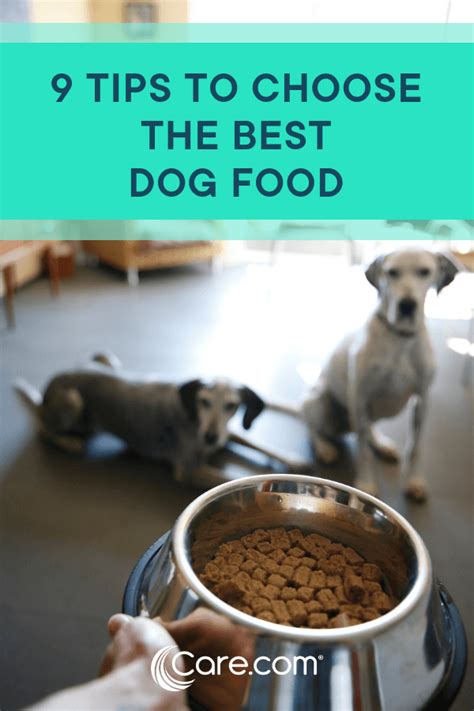 The brand makes both wet and dry food, as well as food for many stages of a dog's life: 9 Expert Tips For Choosing The Right Brand Of Healthy Dog ...