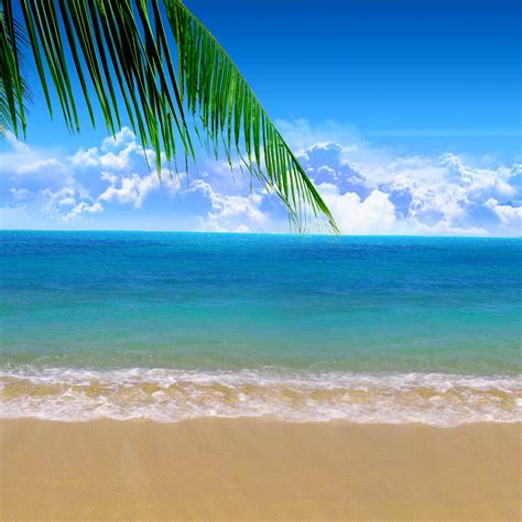 Cool Beach Backgrounds 79 Images