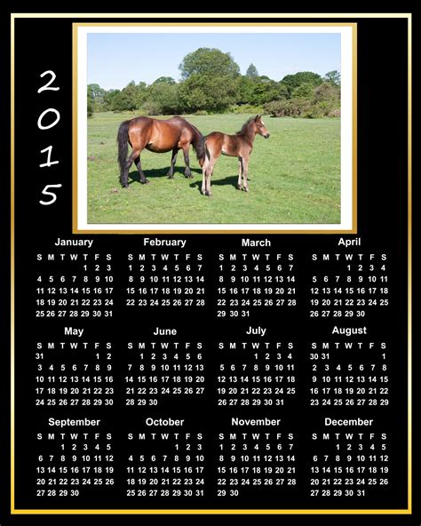 2015 Calendar Beautiful Horses Free Stock Photo Public Domain Pictures
