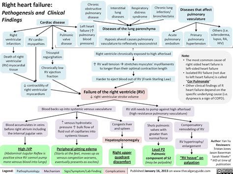 Adult Emergency Medicine Right Sided Heart Failure