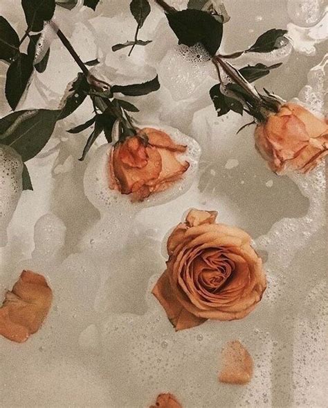 **album cover art** is often considered to be one of the extincted fields in modern graphics design. pinterest: lilosplanets ☆ Rose bathtub | Flower aesthetic ...