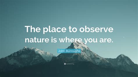 John Burroughs Quote “the Place To Observe Nature Is Where You Are