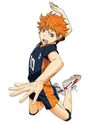 Characters that have not appeared in the anime are represented with art from the manga. Image - Shoyo Hinata Cover.png - Haikyuu!! Wiki