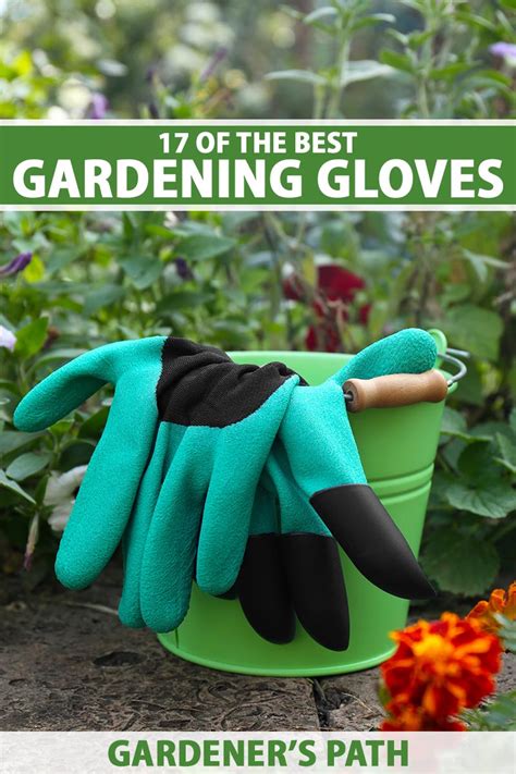 17 of the best gardening gloves in 2023 gardener s path