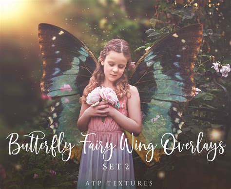 20 Png Digital Butterfly Fairy Wing Overlays Set 2 Butterfly Fairy