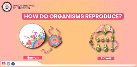 How Do Organisms Reproduce