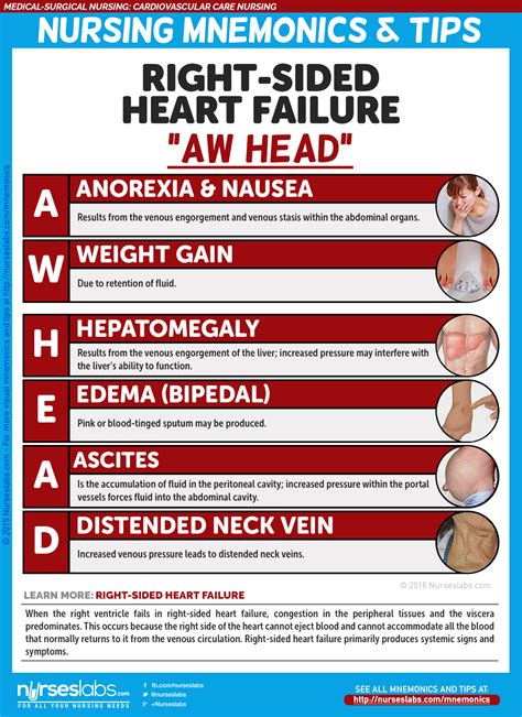 Right Sided Heart Failure Manifestations AW HEAD Cardiovascular Care