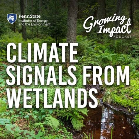 Growing Impact Climate Signals From Wetlands Institute Of Energy And