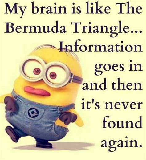 Pin By Yvonne Pintmee On Minions Minions Funny Funny Minion Quotes Funny Minion Memes