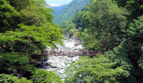 Shikokus Iya Valley Vine Bridges Boat Rides And Villages Japan Cheapo